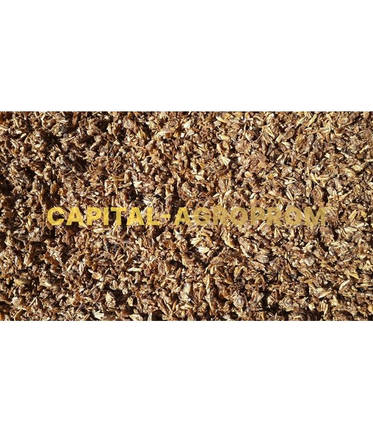 Фото: Beer grains